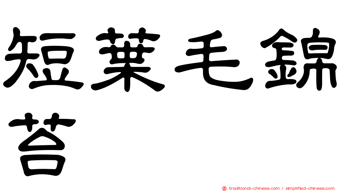 短葉毛錦苔