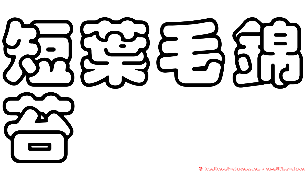 短葉毛錦苔