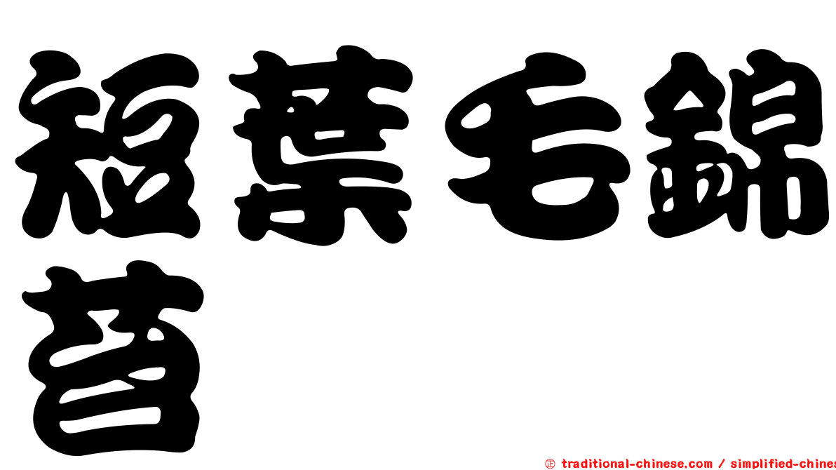短葉毛錦苔