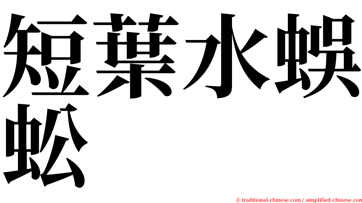 短葉水蜈蚣 serif font