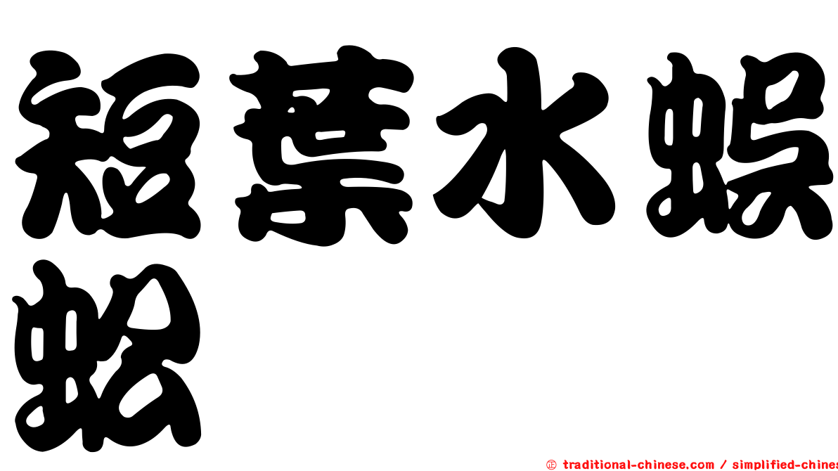 短葉水蜈蚣