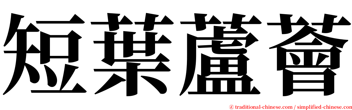 短葉蘆薈 serif font