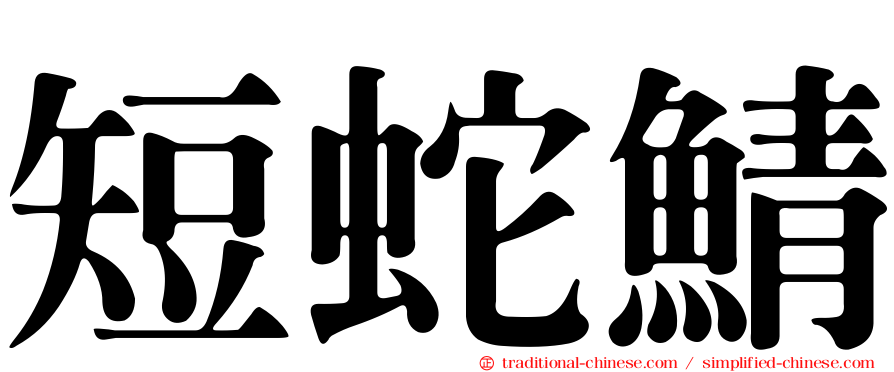 短蛇鯖