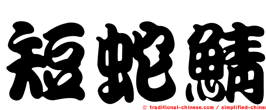 短蛇鯖