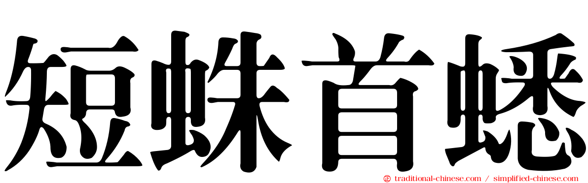 短蛛首蟋