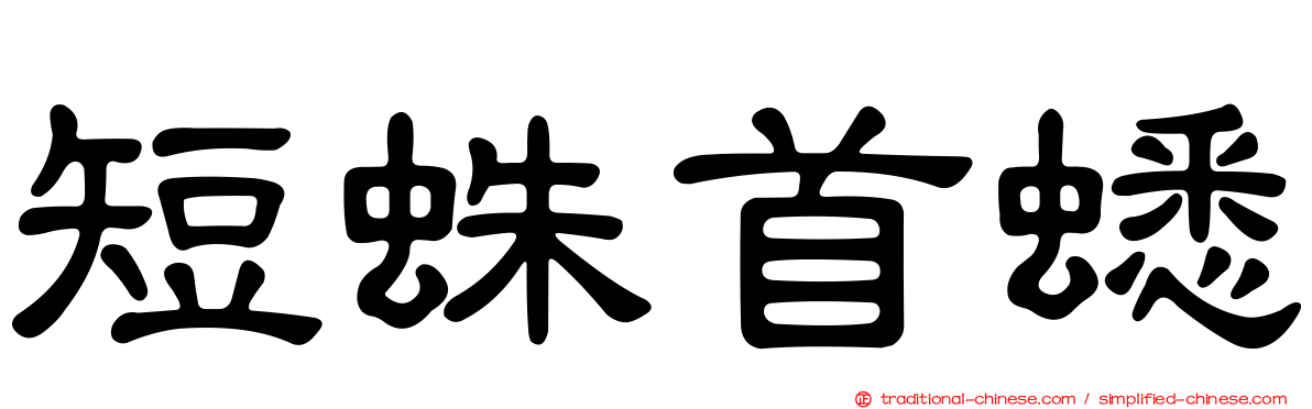 短蛛首蟋