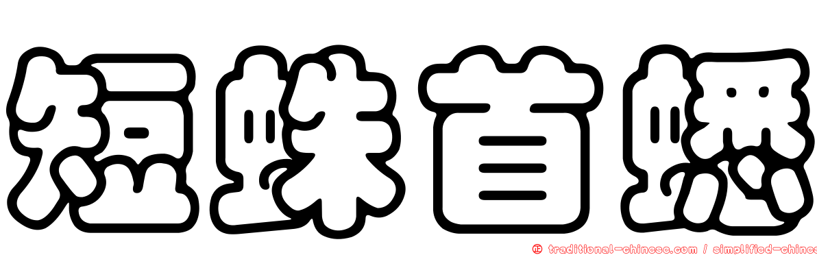 短蛛首蟋