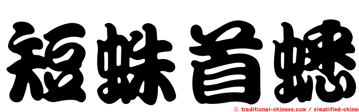 短蛛首蟋