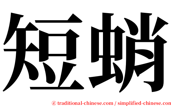 短蛸 serif font