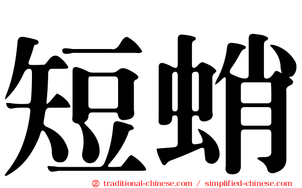 短蛸