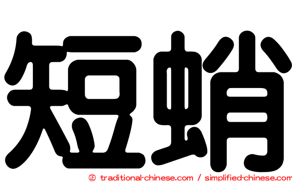 短蛸