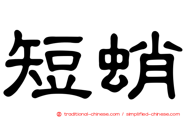短蛸