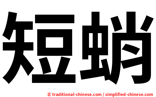 短蛸
