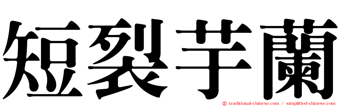 短裂芋蘭
