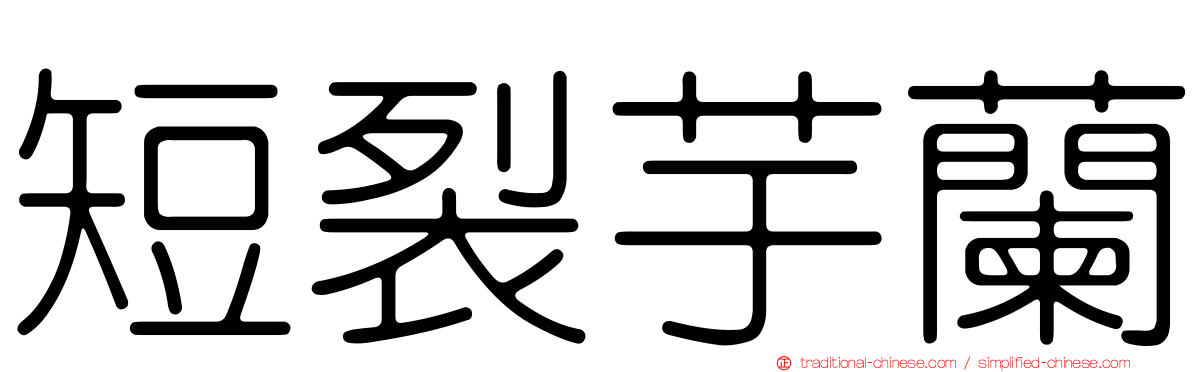 短裂芋蘭