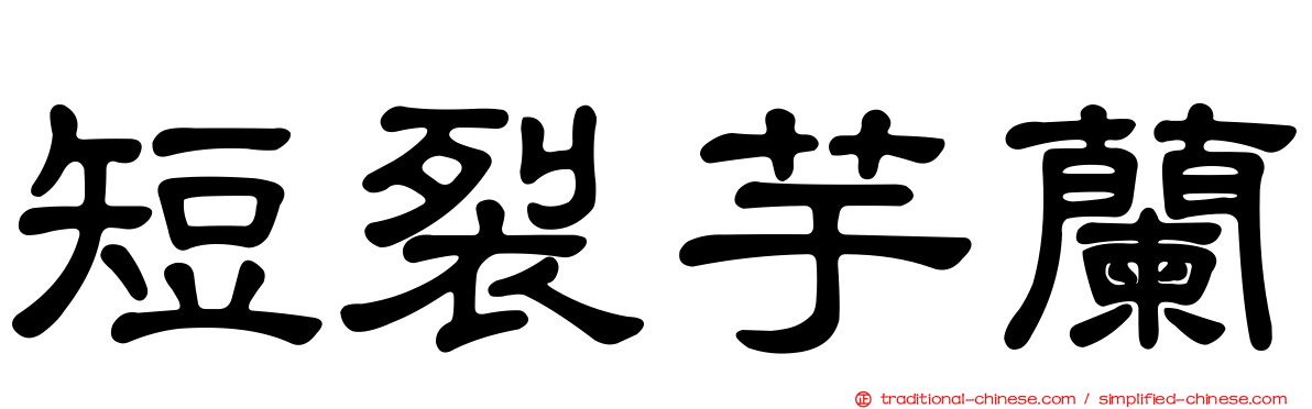 短裂芋蘭