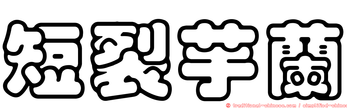 短裂芋蘭