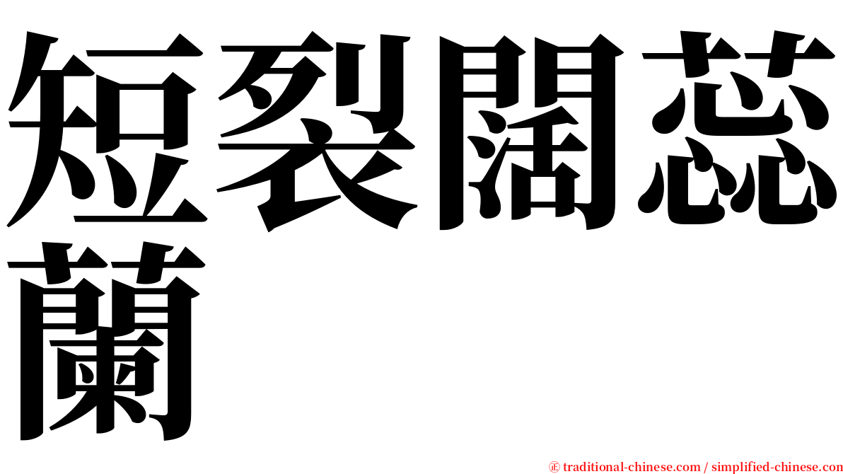 短裂闊蕊蘭 serif font