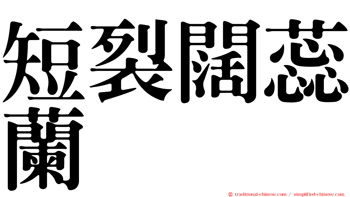 短裂闊蕊蘭