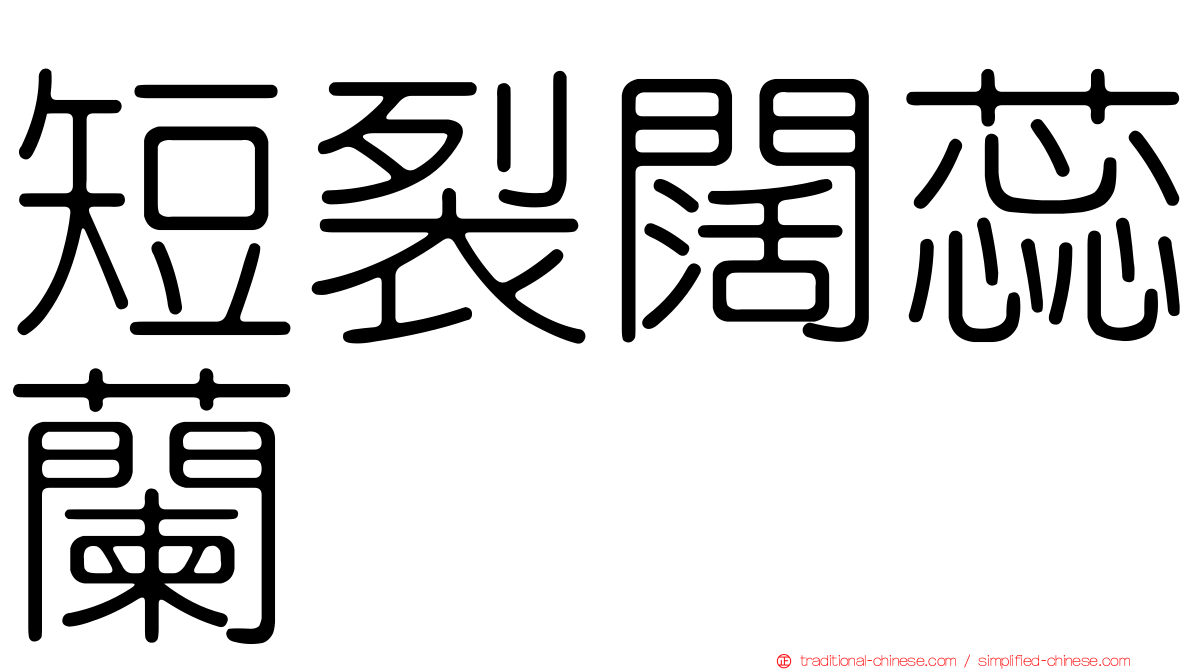 短裂闊蕊蘭