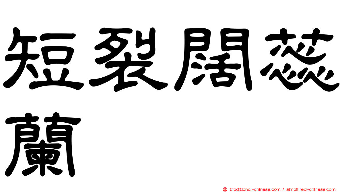 短裂闊蕊蘭