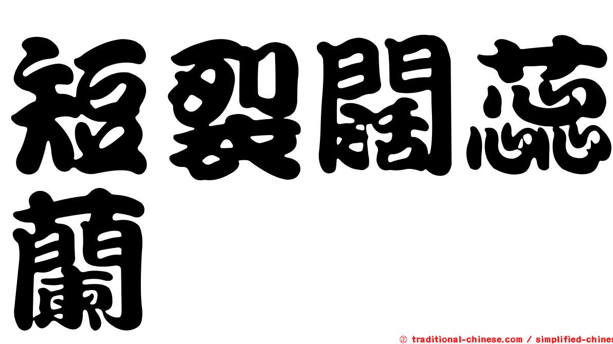 短裂闊蕊蘭