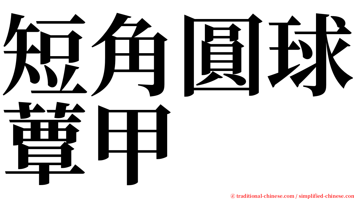 短角圓球蕈甲 serif font