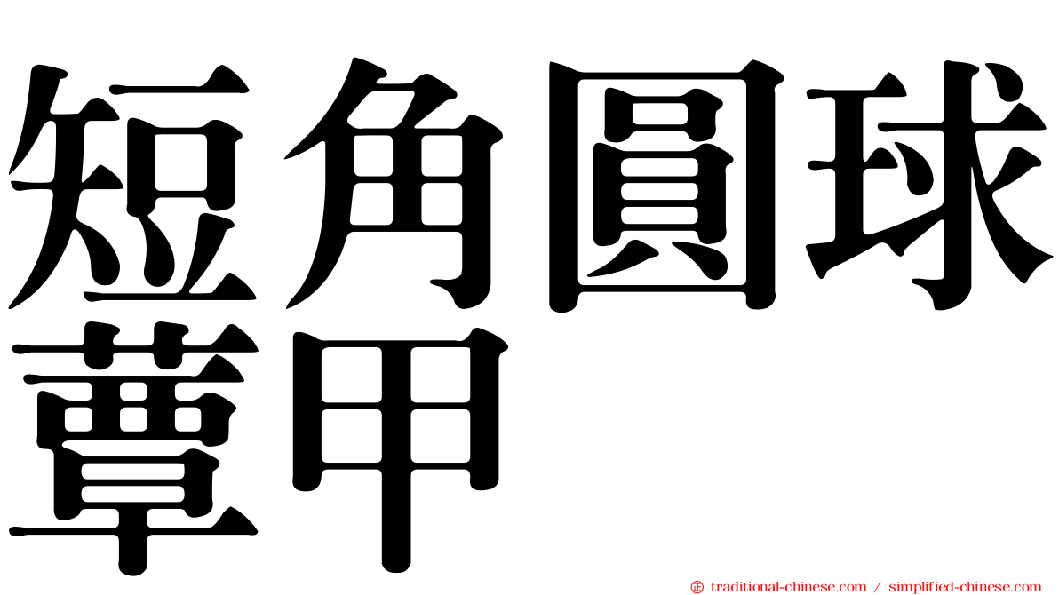 短角圓球蕈甲