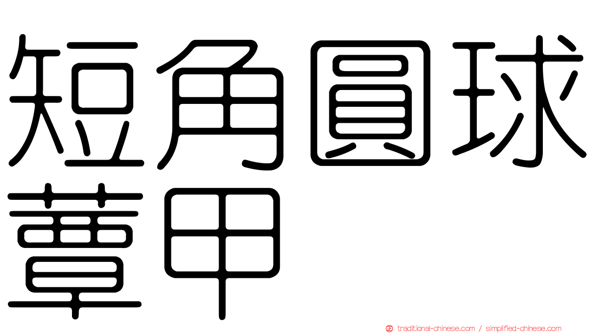 短角圓球蕈甲