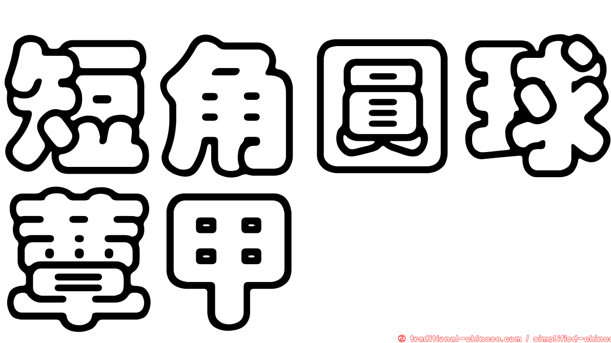 短角圓球蕈甲