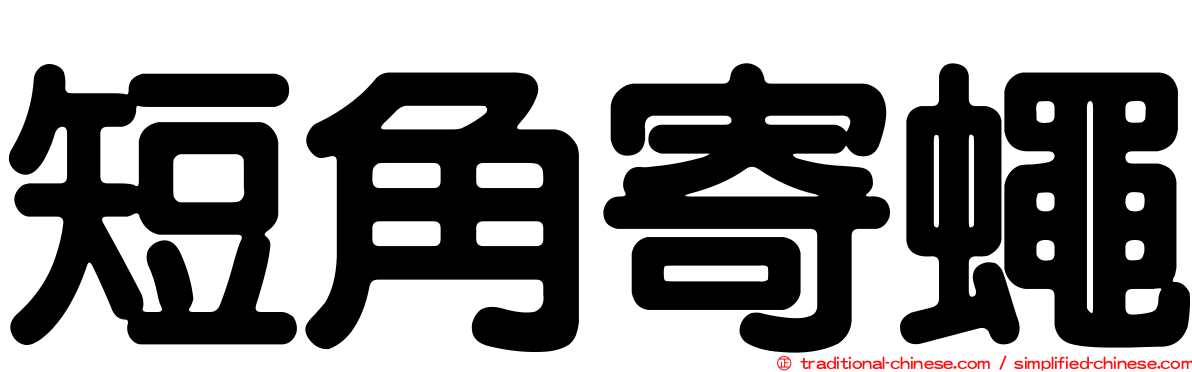 短角寄蠅