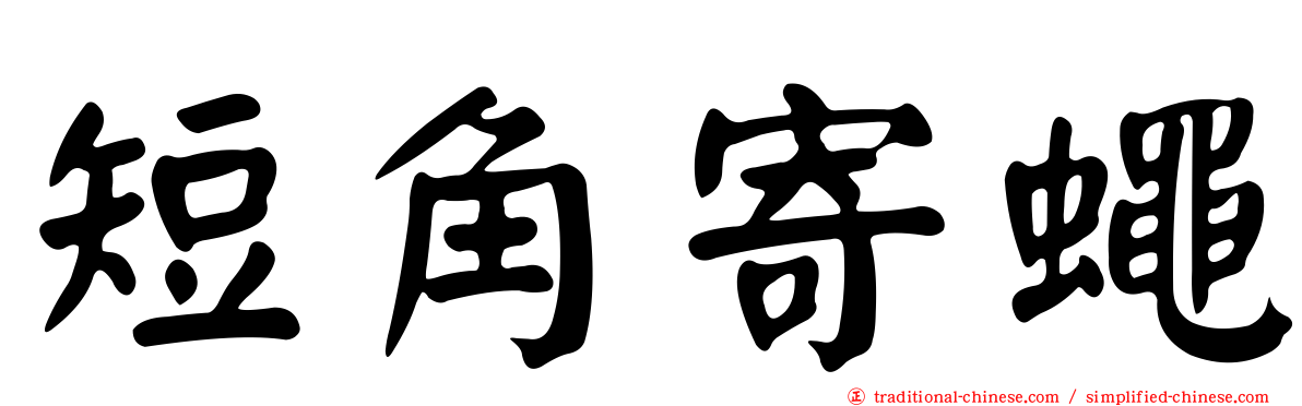短角寄蠅