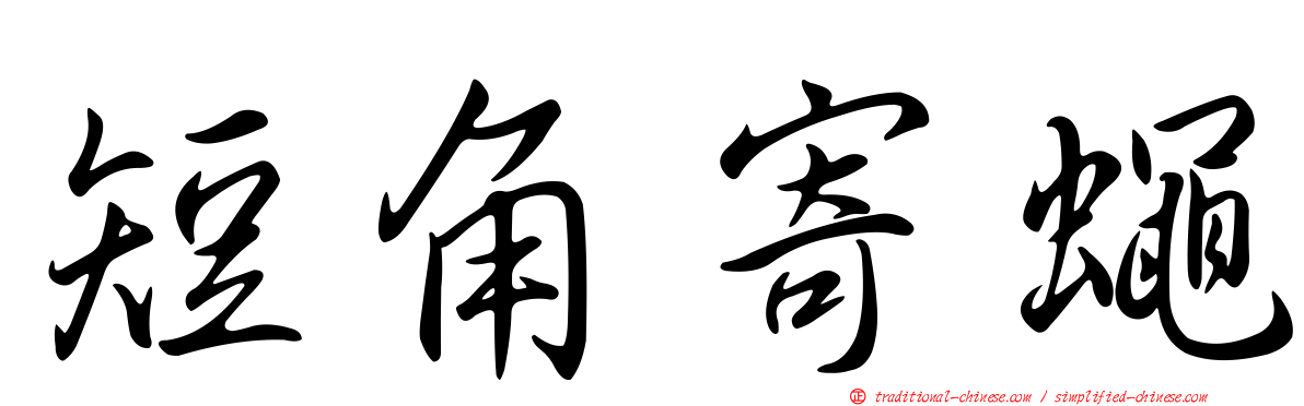 短角寄蠅
