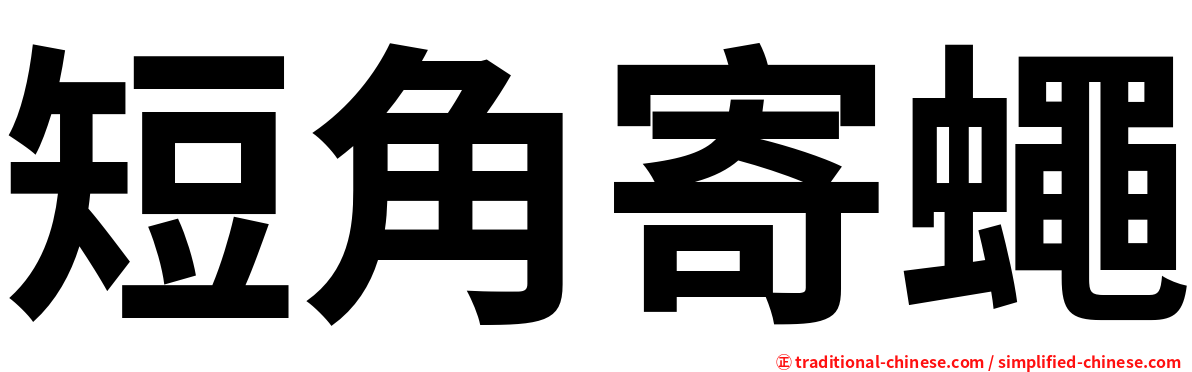 短角寄蠅