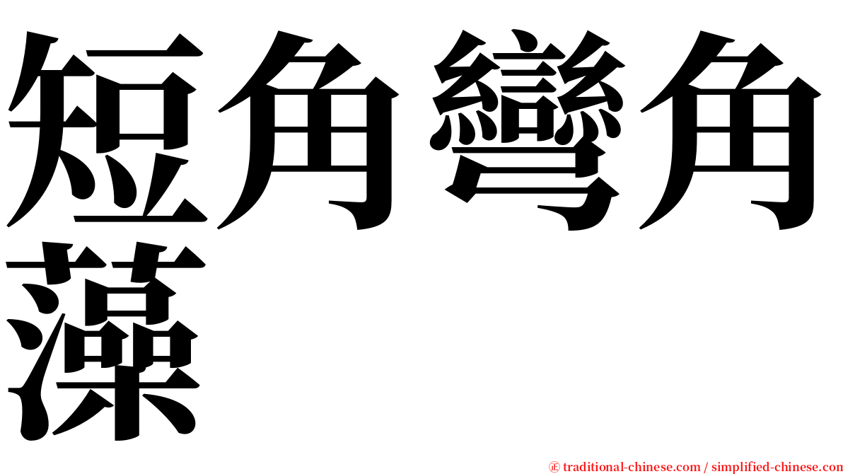 短角彎角藻 serif font