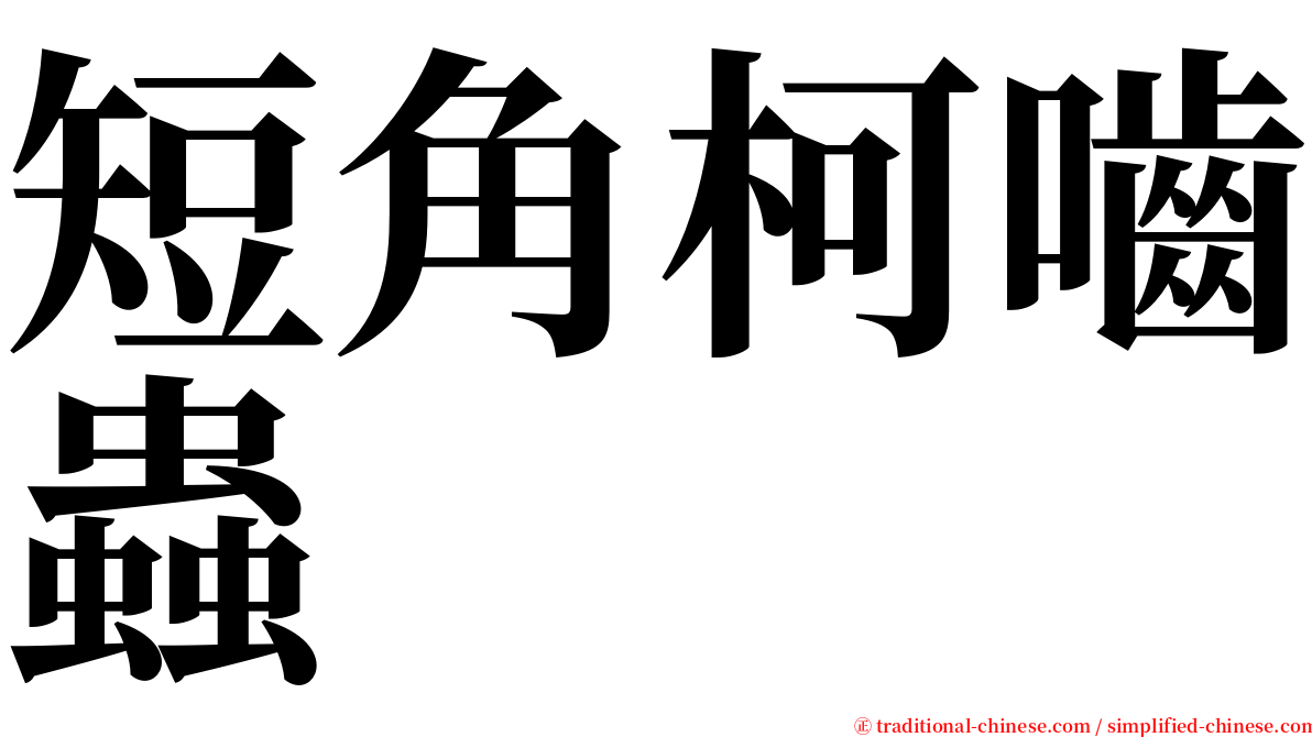 短角柯嚙蟲 serif font