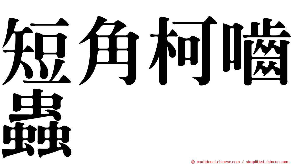 短角柯嚙蟲