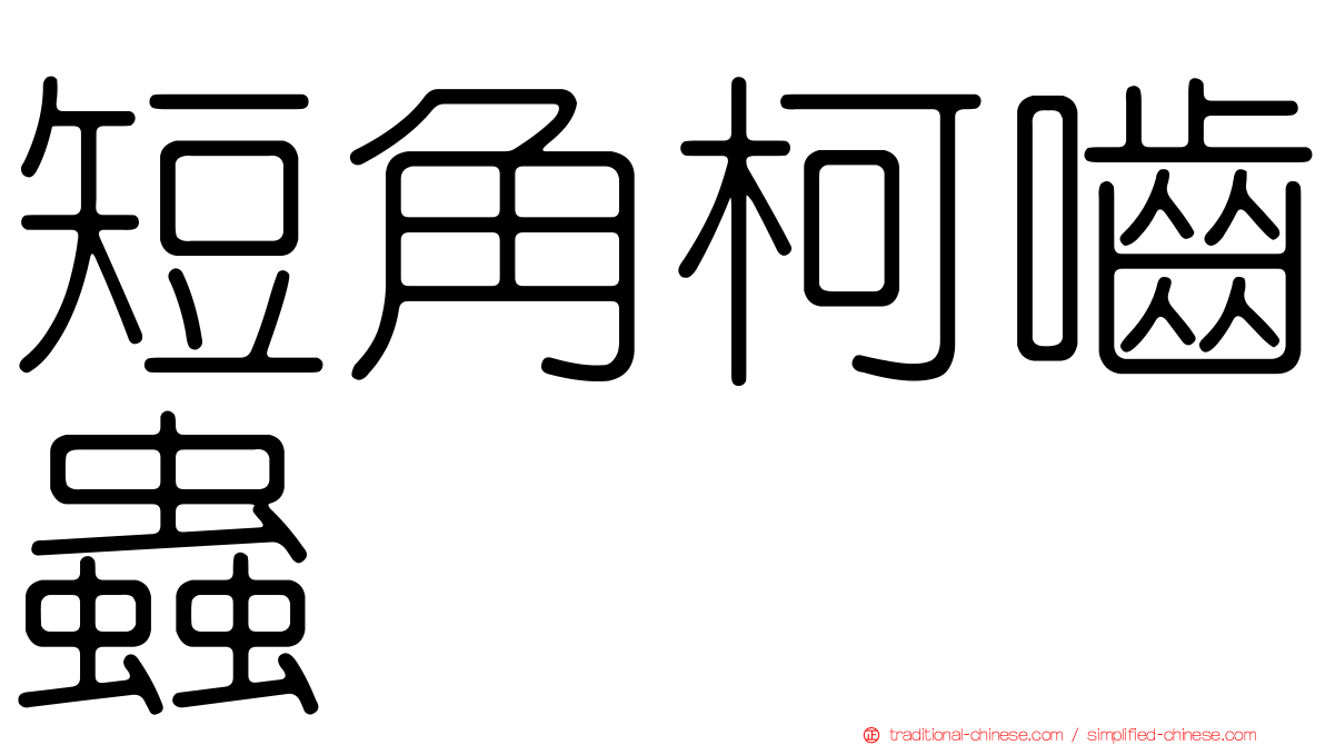 短角柯嚙蟲