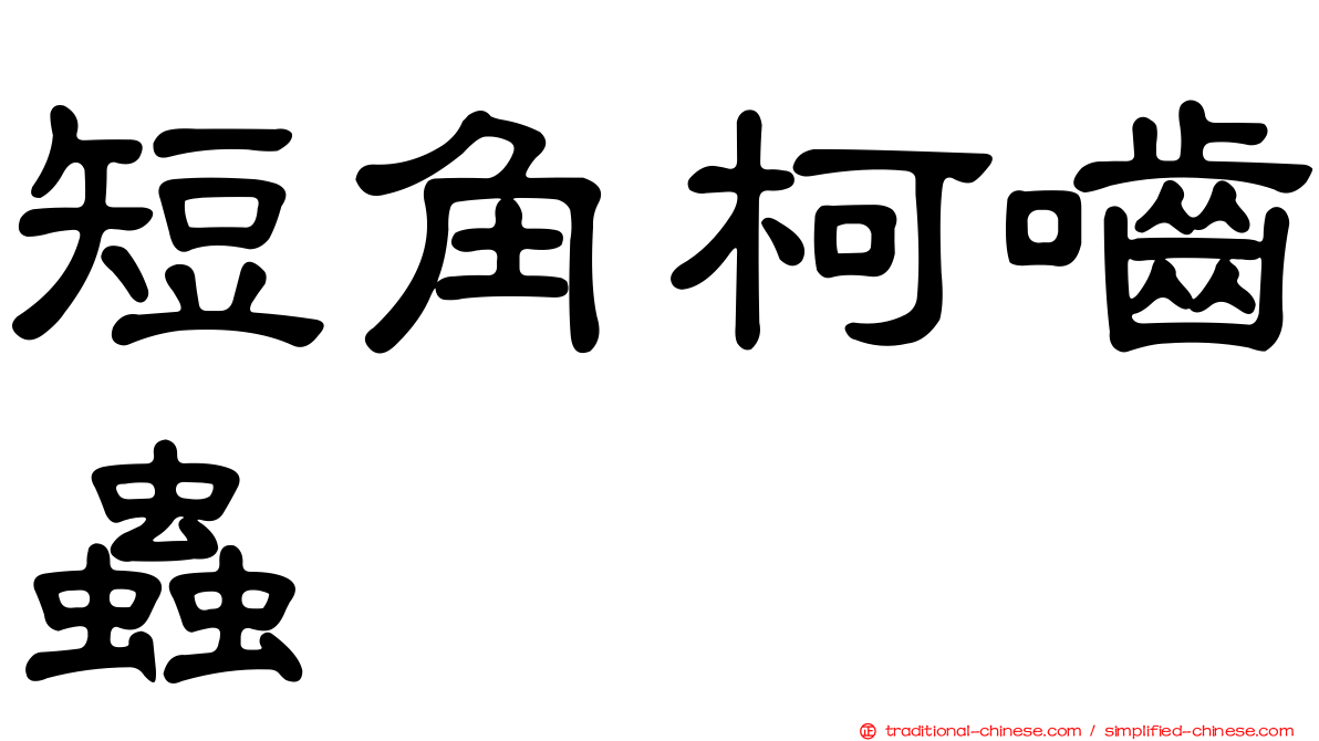 短角柯嚙蟲