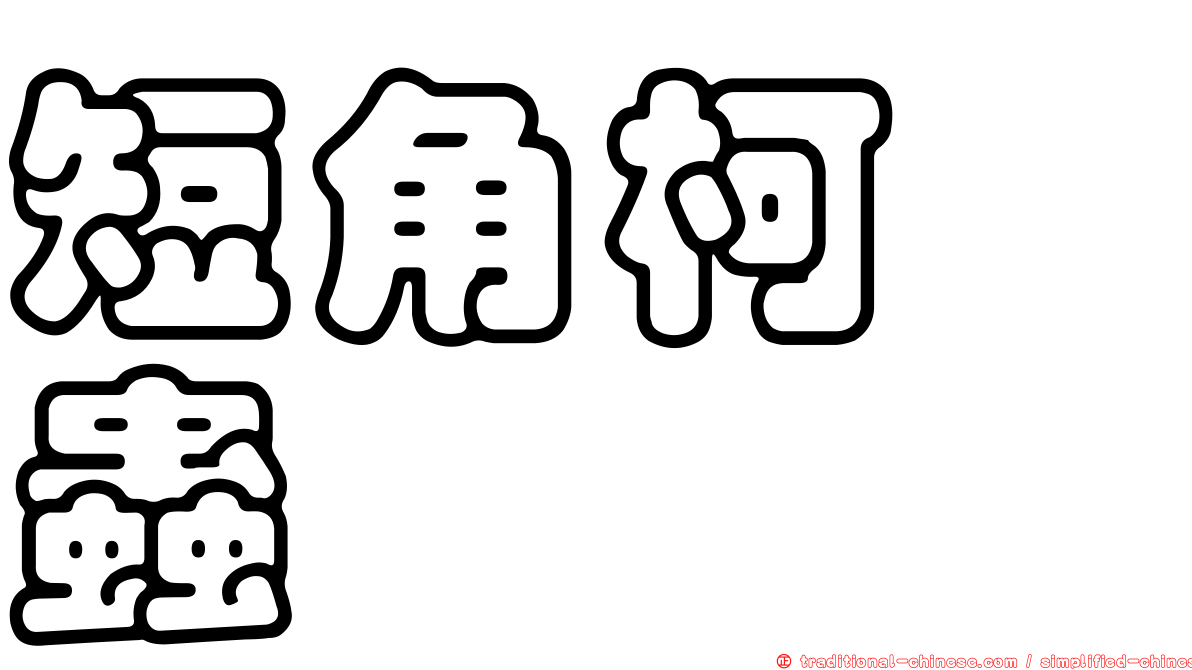 短角柯嚙蟲