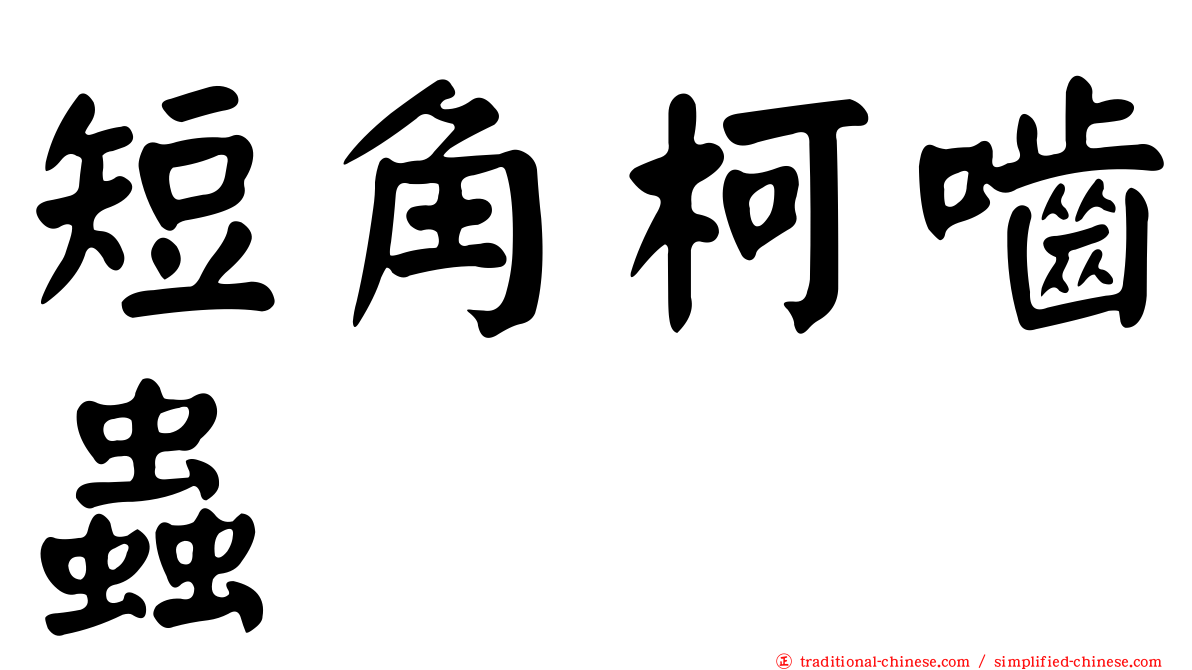 短角柯嚙蟲