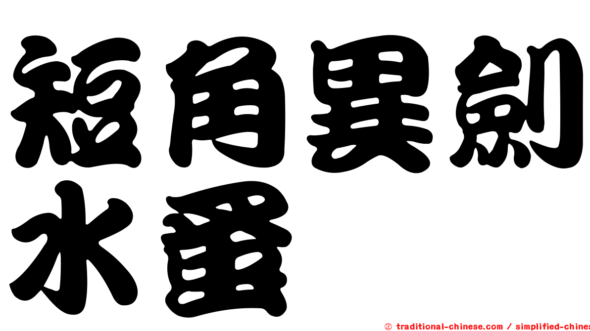 短角異劍水蚤