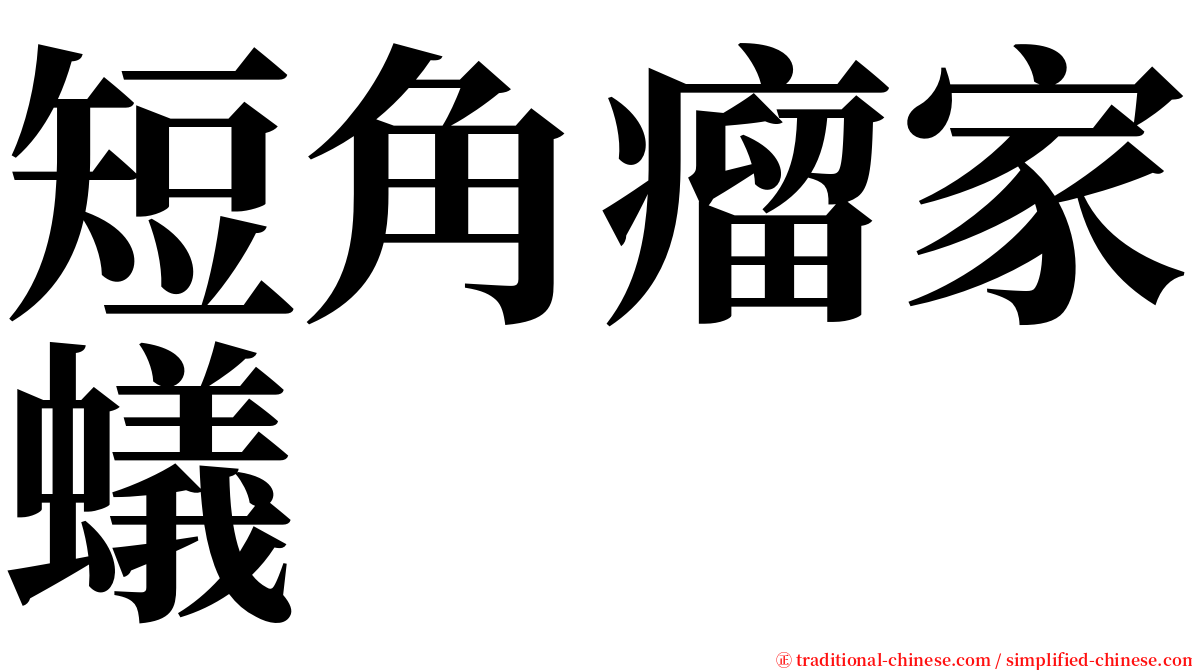 短角瘤家蟻 serif font