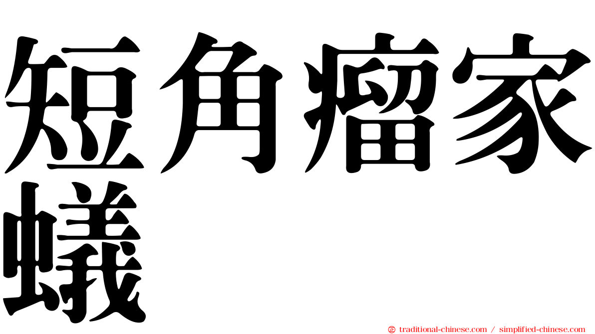 短角瘤家蟻