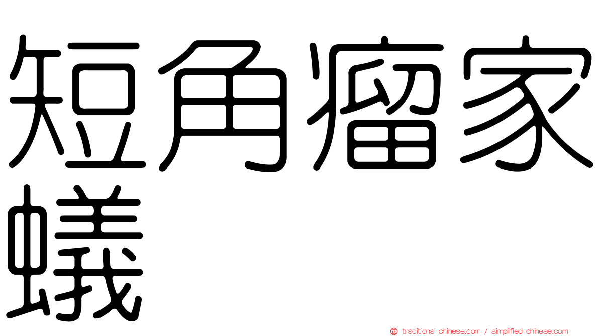 短角瘤家蟻