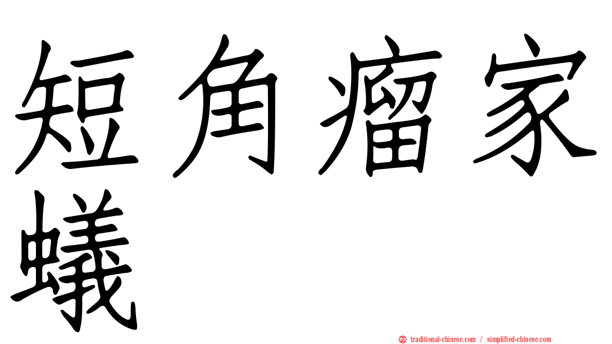 短角瘤家蟻