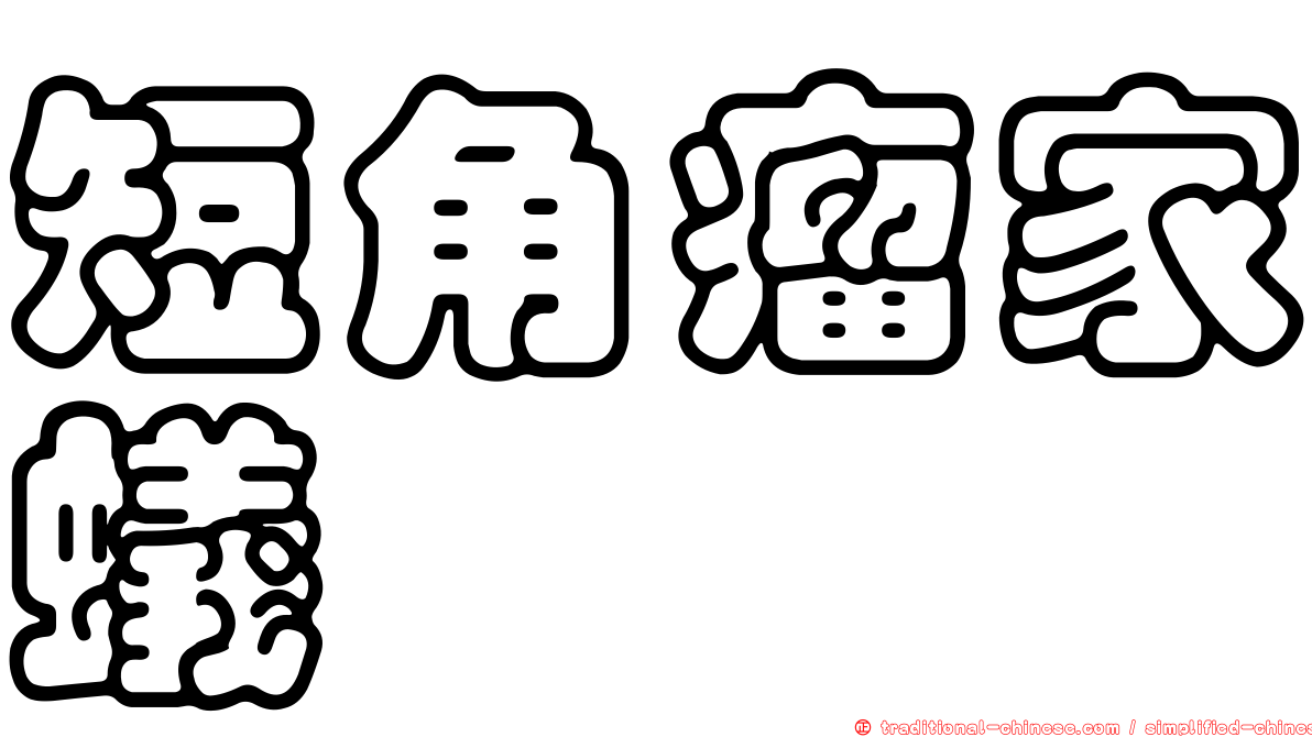 短角瘤家蟻