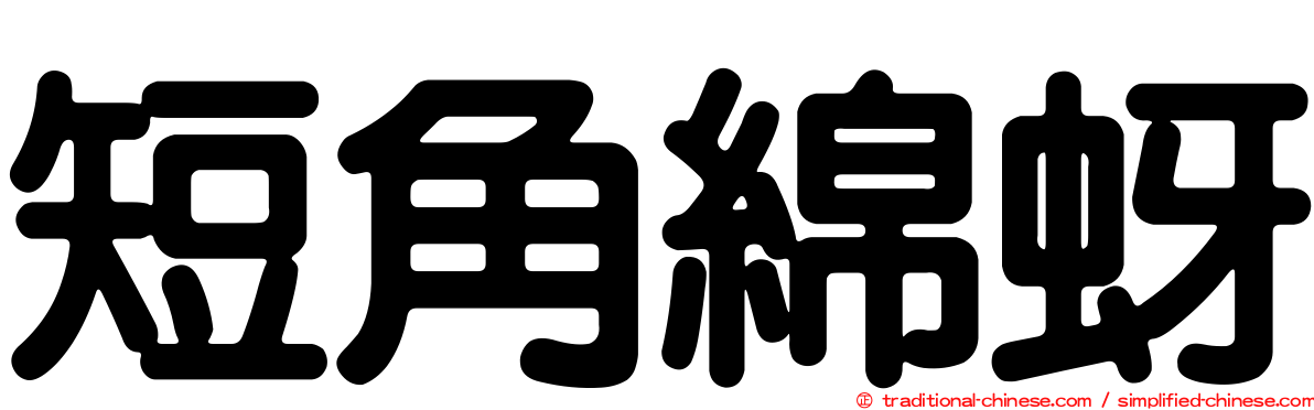 短角綿蚜