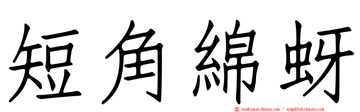 短角綿蚜
