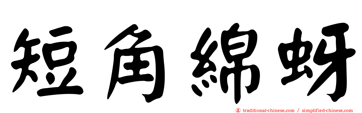 短角綿蚜